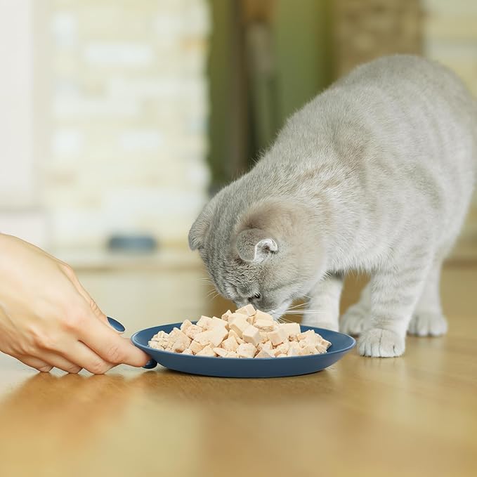 Gerrii 24 Pieces Fatigue Relief Cat Bowl 6 Inch Shallow Cat Food Dish Stray Wet Feeding Bowls Wide and Small Pet Plates for Ferrets Feral Short Legged Kitten Shelter(Elegant Color,Pattern)