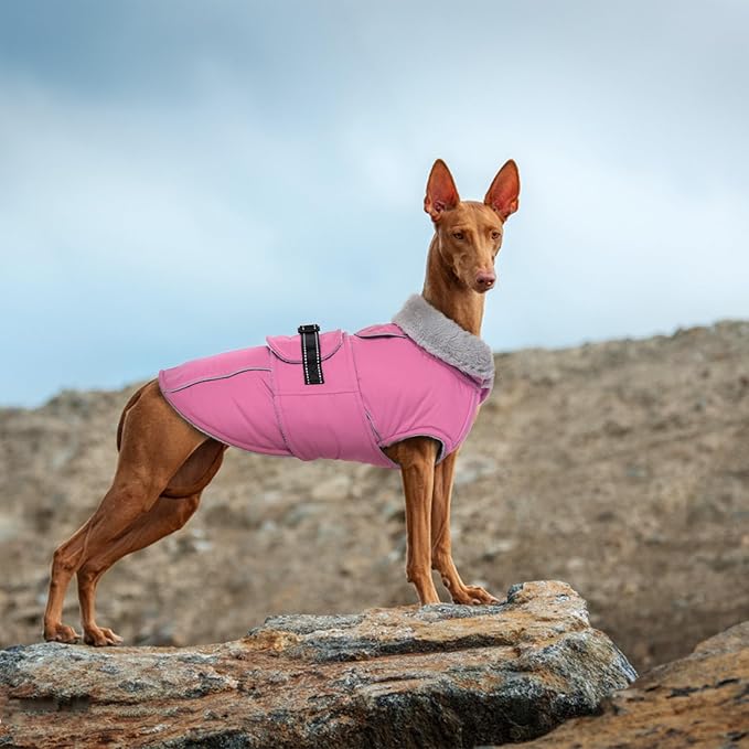 Lelepet Warm Dog Coats for Medium Dogs Waterproof Dog Winter Jacket Reflective Pet Fleece Vest Windproof Cold Weather Coats with Adjustable Buckle & Leash Hole, Pink, M
