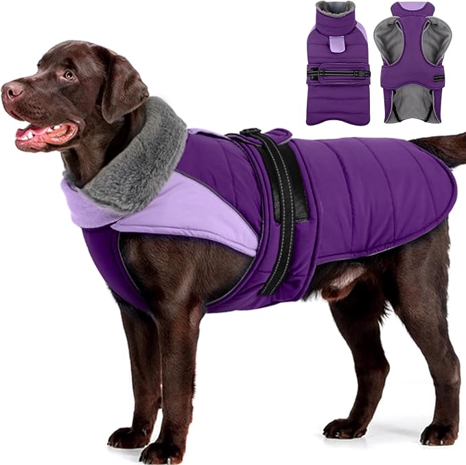 MIGOHI Comfortable Large Dog Coat - Waterproof Dog Coat with Reflective Strips,Windproof XXL Dogs Jacket with Warm Turtleneck, Snow Coats for Large Dogs,Labrador Golden Retriever,2XL,Purple