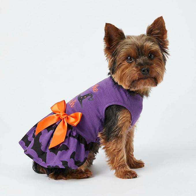 Fitwarm 100% Cotton I'm The Good Witch Halloween Dog Costume Puppy Dress Doggie Party One Piece with Bowknot Pumkin Bat Pet Vest Shirt Holiday Cat Outfits Purple Medium