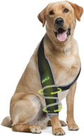 Dog Elbow Pad for Front Leg, Supports Elbow and Shoulder, Helps with Hygroma, Calluses & Pressure Sores, Anti-Licking Elbow Protector with Reflective Design, Right Leg, Size L
