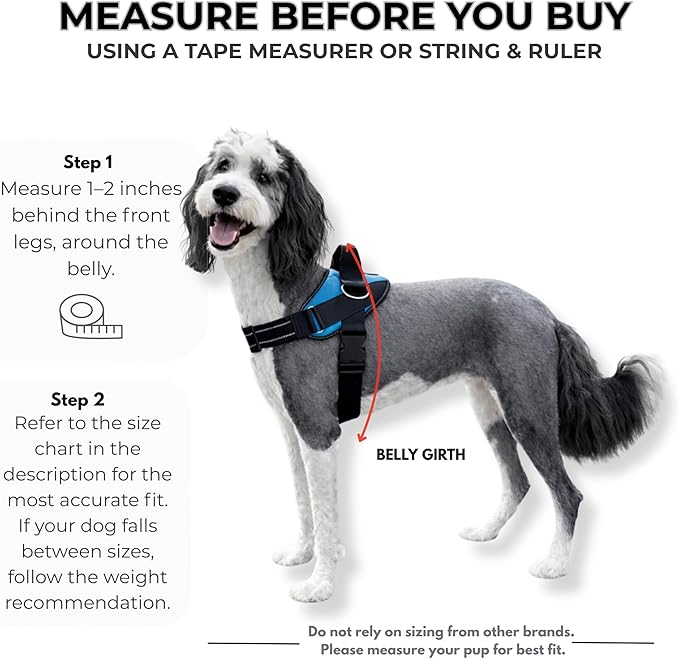 ShawnCo Essential Dog Harness, No-Pull Pet Vest with 3 Leash Clips, No Choke, Reflective, Adjustable and Padded, for Easy Walking and Training for Small, Medium and Large Dogs (White Sharks, XL)