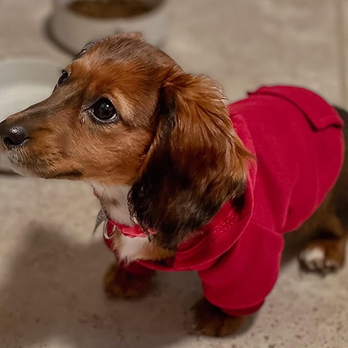 Jecikelon Winter Dog Hoodie Sweatshirts with Pockets Warm Dog Clothes for Small Dogs Chihuahua Coat Clothing Puppy Cat Custume (Wine red, Small)