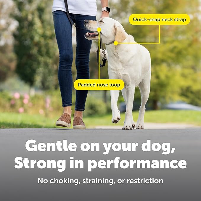 PetSafe Gentle Leader Headcollar No-Pull Dog Collar - Helps Improve Walks - Durable Nylon Construction - Padded Nose Loop - Adjustable Fit - Comfort Walking Halter - X-Large, Black
