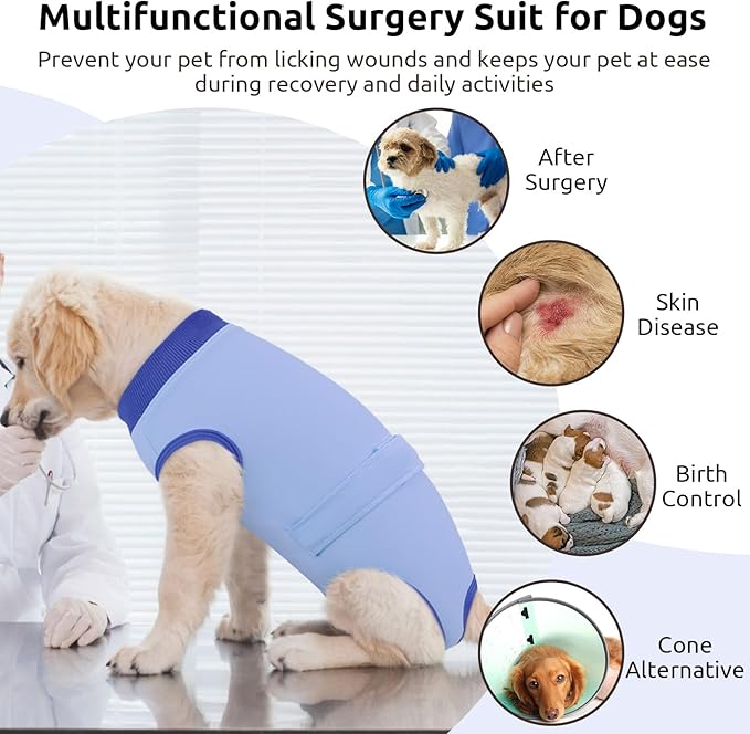Queenmore Recovery Suit for Dogs, Dog Surgical Recovery Suit Onesie,Anti Licking Pet Female Spayed Neutered Puppy Surgical Clothes for Abdominal Wounds, Substitute E-Collar & Cone, Sky Blue,L