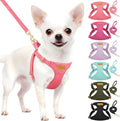 SlowTon Dog Harness Small Sized Dog - Soft XXS Dog Harness and Leash Set No Pull No Chock, Adjustable Lightweight Puppy Harness for XS Small Medium Dogs Cats (Solid Pink, XXS)