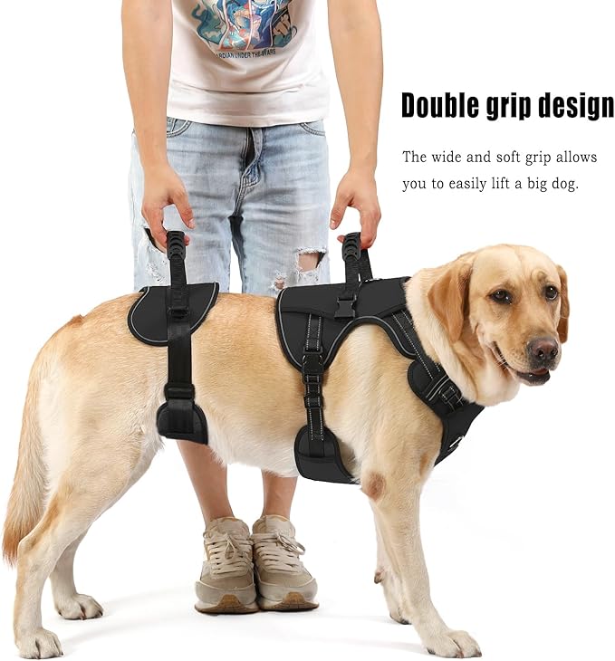 NOYAL Dog Lift Harness for Senior & Injured Pets – Full-Body Support Sling with Breathable Mesh, Front/Rear Leg Assist for Arthritis, Hip Dysplasia & Post-Surgery Recovery (Medium-Large Breeds)