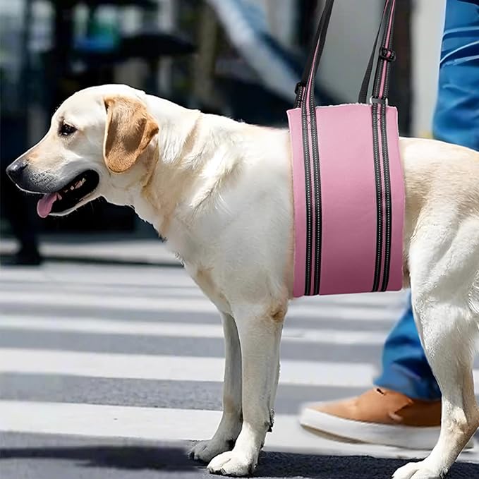 AIITLE Dog Sling Carrier for Hind Leg Support - Adjustable Reflective Design with Plush Padding, Ideal for Senior/Arthritic Dogs & Post-Surgery Recovery (Pink, L)