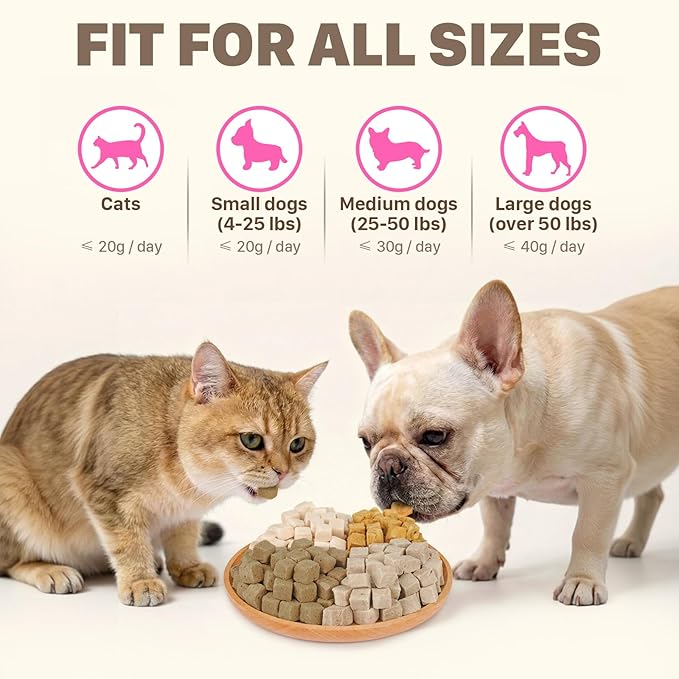 Freeze Dried Dog & Cat Treats – Single Ingredient Duck Breast, High Protein Training Treats & Food Topper, 9.9 oz