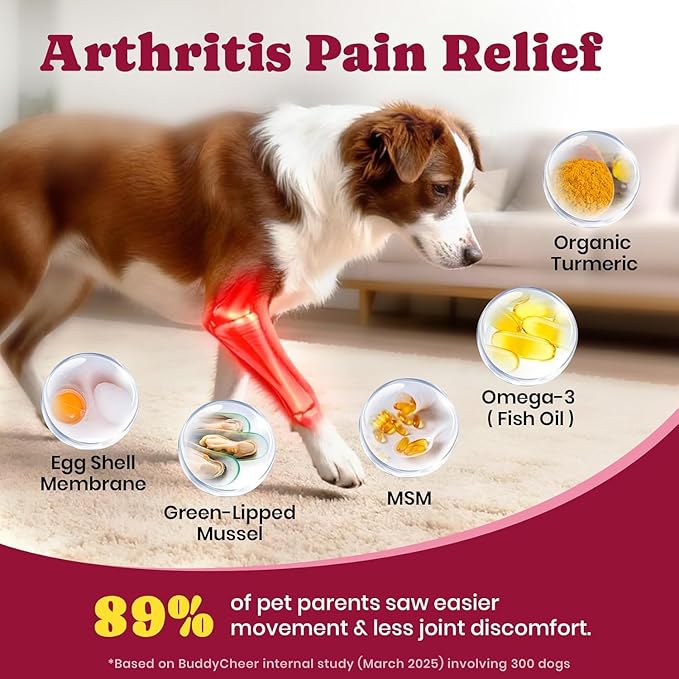 Glucosamine for Dogs - Hip and Joint Supplement Chews for Senior & Large Breed, Joint Supplement for Dogs with Chondroitin, Wuffe Joint Chews for Pain Relief - 60-Day - 180 Ct