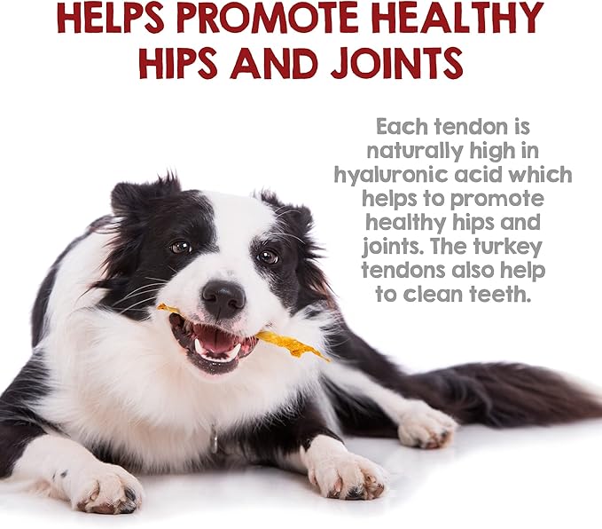 Riley's Turkey Tendons for Dogs Made in The USA & Sourced in The USA - Single Ingredient Dog Treats - All Natural Turkey Tendon Chews for Dogs - 4 oz (Pack of 2)