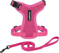 Voyager Escape-Proof Step-in Lock Cat Harness & 5ft Neoprene-Handle Leash Set All-Weather Mesh with Reflective Stitching for Small to Large Cats by Best Pet Supplies, Fuchsia, XS