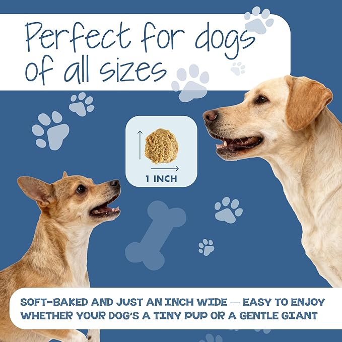 DAWG'S CHOICE Soft & Chewy Dog Treats, Peanut Butter & Honey Snacks for Dogs, Dog Treats Made in USA, Human Grade, All-Natural Ingredients, High Value Training Treats, for Small, Medium & Large Dogs