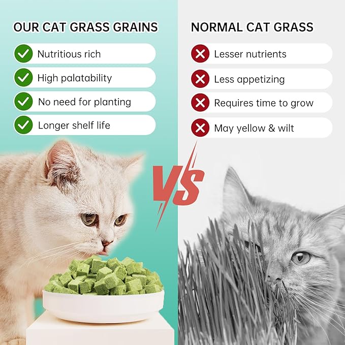 Freeze-Dried Cat Grass Dental Treats - Natural Teeth Cleaning Chews,Hairball Control,Grain-Free Edible Snacks for Indoor Cats & Kittens (80g)