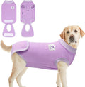 cyeollo Dog Surgery Recovery Suit Soft Breathable Female Male Pet Bodysuit for Spay, Neuter, Surgical Recovery Shirt for Small Medium Large Dogs, Purple, XL