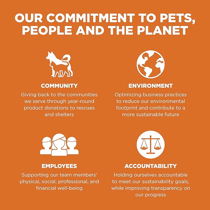 Go! Solutions Skin + Coat Care Salmon Dry Dog Food with Grains, Chicken-Free, Healthy Kibble with Omega-3s & 6s for Soft, Shiny Fur, for Puppies, Adults, & Seniors, 22 lb Bag