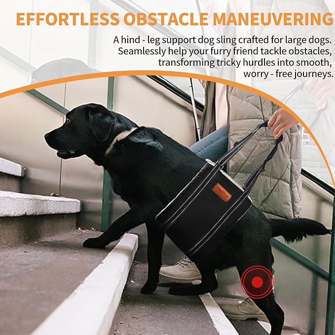 Dog Lift Harness for Large Dogs, Adjustable Comfortable Dog Sling with Handle, Knee & Rear Leg Support for Torn ACL Rehabilitation, Weak Rear Legs, Helps Senior, Disabled Canines(Black,XL)