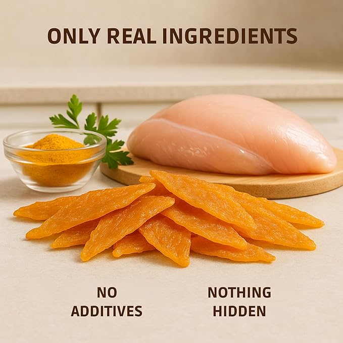 Chicken Jerky Dog Treat -Turmeric Infused Natural Chicken Strips, Single Ingredient Healthy Dog Treats, USA Made Gently Dried High Protein Snacks With No Artificial Additives (10 Oz - 283g)