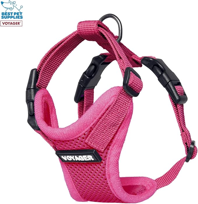 Best Pet Supplies Voyager Step-in Lock Pet Harness w Reflective Pet Leash Combo Set with Neoprene Handle 5ft - Supports Small, Medium and Large Breed Puppies/Cats - Fuchsia, XXS