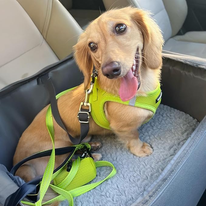 Best Pet Supplies Voyager Step-in Air All Weather Mesh Harness and Reflective Dog 5ft Leash Combo with Neoprene Handle, for Small, Medium and Large Breed Puppies - Set (Lime Green), X-Large