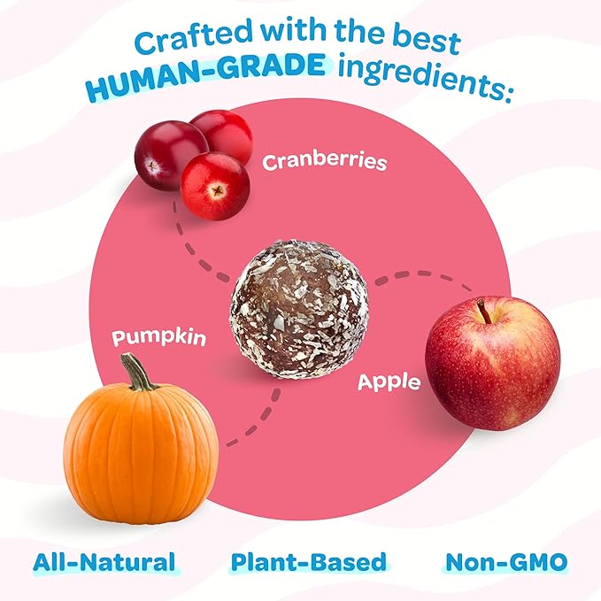 Pumpkin Dog Treats with Cranberry & Apple - Healthy Dog Treats - Soft, Natural, Grain Free, Low Calorie, Gluten Free, Non-GMO, Clean & Nutritious Ingredients - 3pk (54 Treats)