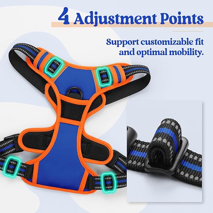 rabbitgoo Dog Harness No Pull with 2 Leash Clips, Adjustable Soft Padded, Reflective Oxford No Choke Pet Vest with Easy Control Handle for Large Dogs, Blue & Orange, XL