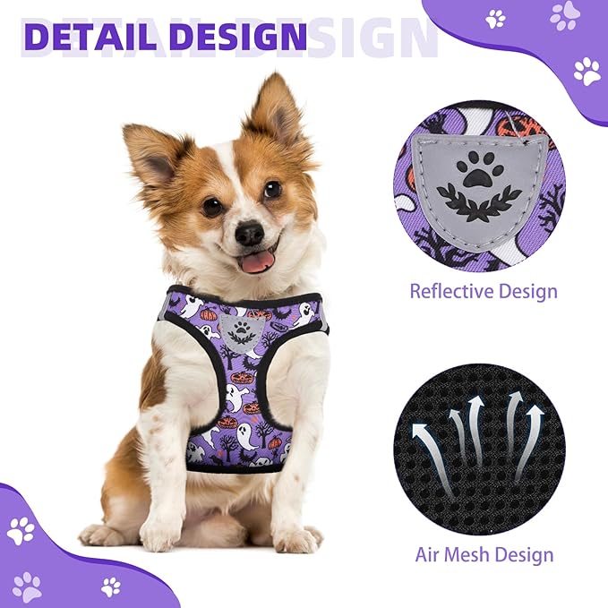 KOOLTAIL Halloween Dog Harness and Leash Set for Small Medium Dogs, Step in No Pull Soft Mesh Harness Comfort Padded Pet Vest, Adjustable Reflective Easy Walking Puppy Cats Harness Training, Ghost M