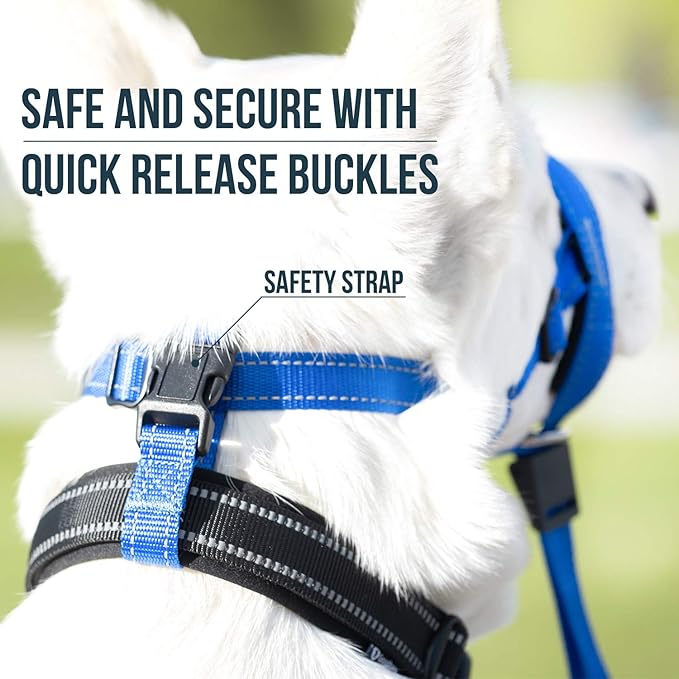 GoodBoy Dog Head Halter with Safety Strap - Stops Heavy Pulling On The Leash - Padded Headcollar for Small Medium and Large Dog Sizes - Head Collar Training Guide Included (Size 1, Blue Nylon)