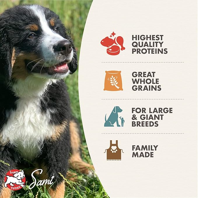 Fromm Large Breed Puppy Gold Premium Dry Dog Food - Dry Puppy Food for Large Breeds - Chicken Recipe - 15 lb