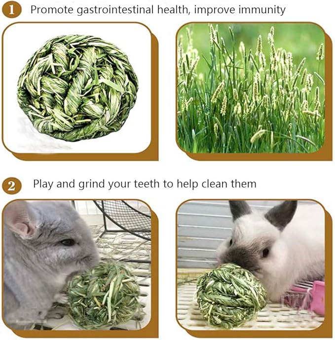 Hamiledyi Rabbit Chew Ball Timothy Grass Grinding Small Animal Activity Play Chew Toys for Bunny Rabbits Hamster Guinea Pigs Gerbils (5 PCS)