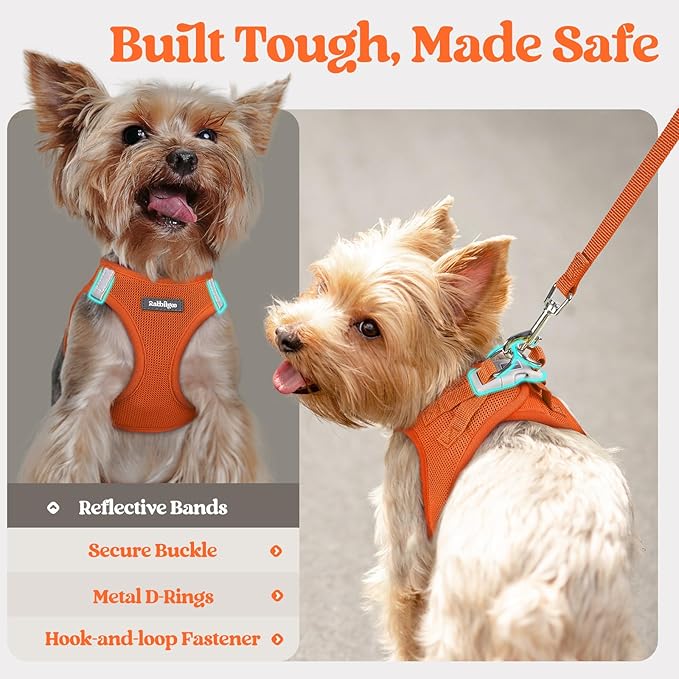 rabbitgoo Dog Harness Small Sized and Leash Set, Step in Soft Light Puppy Vest, Breathable Mesh Pet Harness, Reflective for Safe Easy Walking, Orange XS