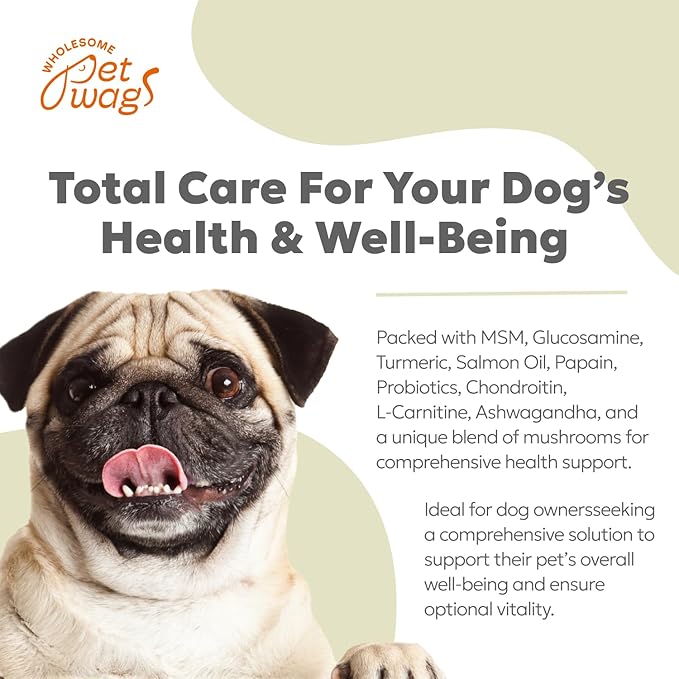 Daily 10-in-1 Dog Wellness Chews – Joint, Gut, Immune, Skin & Coat, Energy & Vitality Support – Glucosamine, Probiotics, Salmon Oil & Turmeric – 60 Soft Chews