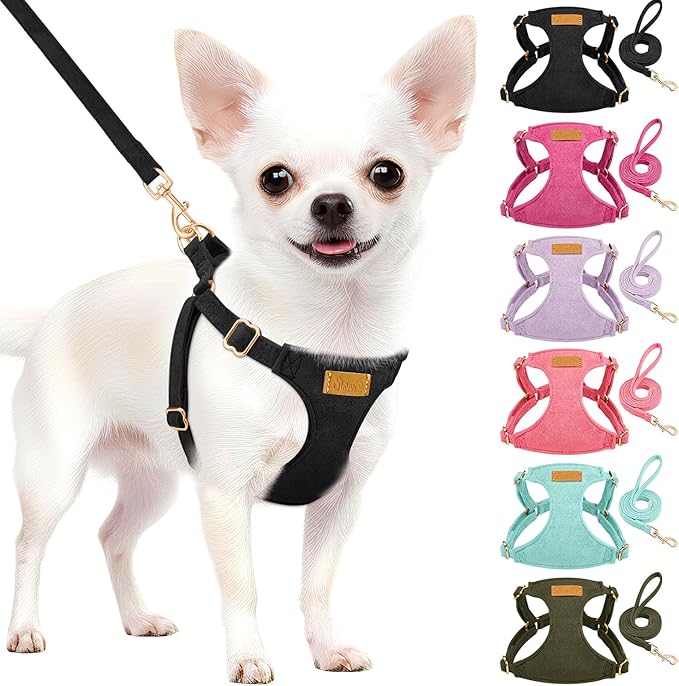 SlowTon Dog Harness Small Sized Dog - Soft XXS Dog Harness and Leash Set No Pull No Chock, Adjustable Lightweight Puppy Harness for XS Small Medium Dogs Cats (Solid Black, S)