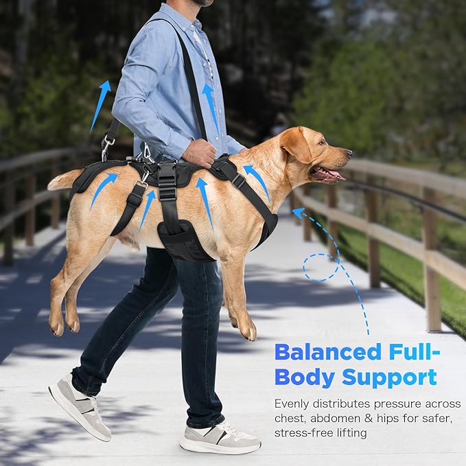 Dog Lift Harness, Full Body Support & Recovery Sling with Rear Leg Strap – Pee-Able Design for Large/Medium Dogs, Mobility Aid Harness for Senior, Injured, Disabled, Arthritic & Post-Surgery Pets (L)