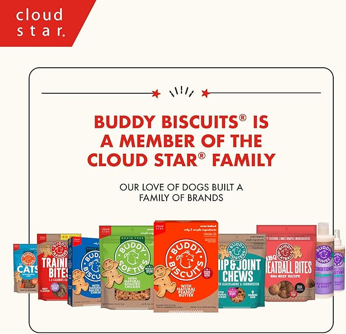 Buddy Biscuits Crunchy Wheat Free Halloween Dog Treats with Pumpkin, 14 oz. Box (Pack of 2)