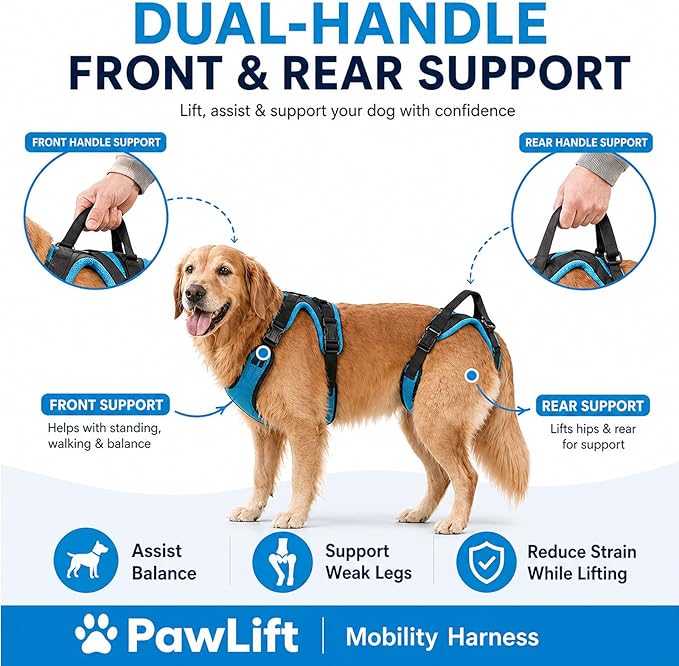 Mobility Harness, Pawlift Dog Full Body Harness, 2-in-1 Full Body Support Aid & Sling with Adjustable Straps Machine-Washable with Breathable Mesh Design (M)