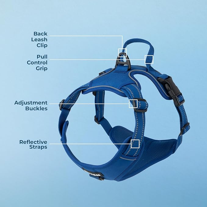 Voyager Dog Harness Dual Leash Attachment No-Pull Control Adjustable Soft but Strong Pet Harness for Medium and Large Dogs with 3M Reflective Technology, Royal Blue Lattice Nylon, M (Chest: 20-25")