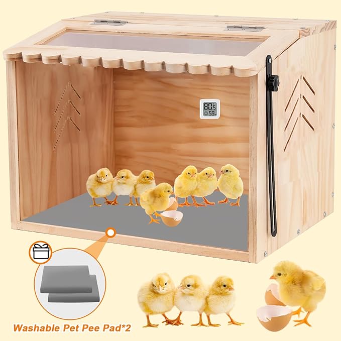 Chicken Brooder Box, Brooder Box for Chicks & Quail, Small Chicken Coop Quail Cage with Heat Lamp, Ideal for Chicks, Ducks, Quails, Hamsters and Lizards (15.75 x 12 x 12 in)