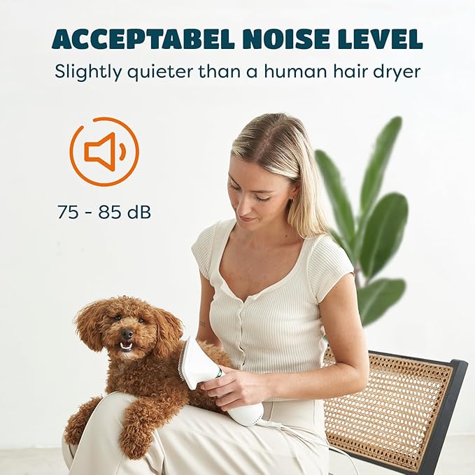 2-in-1 Dog Dryer with Slicker Brush for Small Dogs and Cats, Pet Hair Dryer, Dog Blow Dryer for Grooming with 300 Watts, 75-85 dB, Adjustable Temperature, Overheat Protection