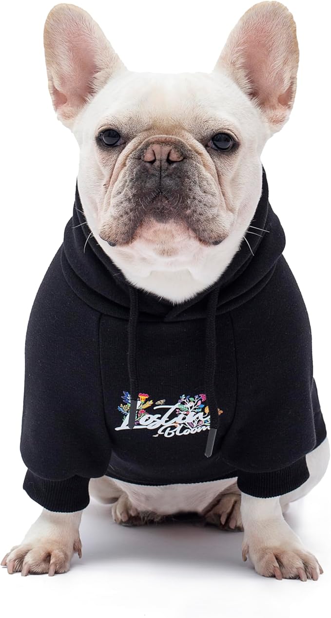Blooming Teddy Dog Hoodie Dog Clothes Extra Warm Fleece Lining Stretchy Fit for Small Dogs ((Black, Small))