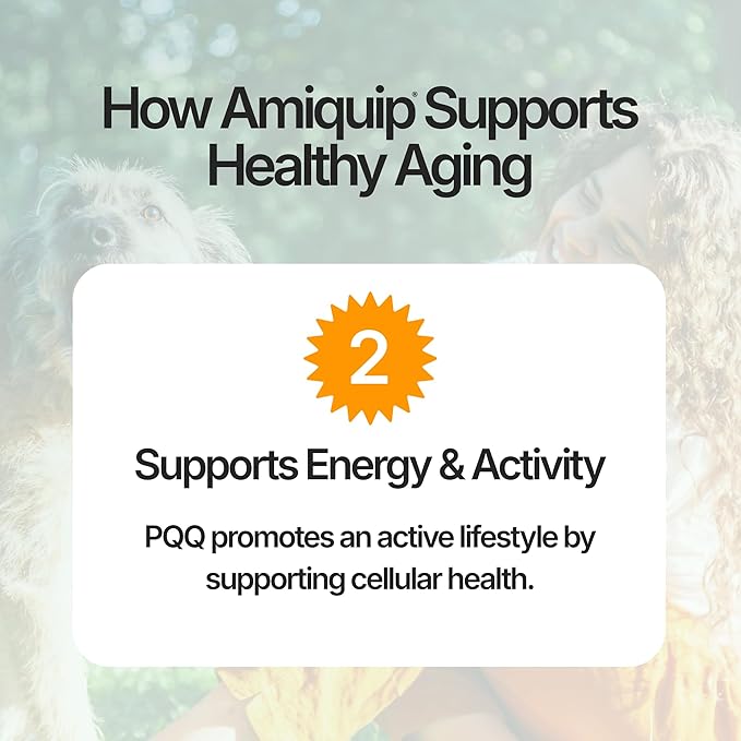 Amiquip® Dog Supplement for Senior Dogs – Longevity, Comfort & Joint Support, Clinically Studied Formula, 90 Soft Chews for Daily Healthy Aging with PQQ & Palmitoylethanolamide