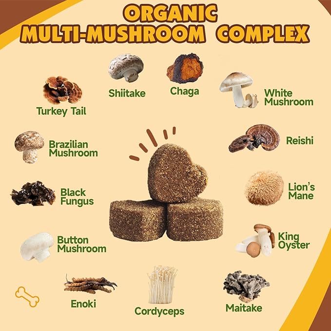 Mushroom Chews for Dogs, Turkey Tail Mushroom for Dogs, Immune Health, Digestive, Skin, Energy, Joint Support, 13 Organic Mushroom Complex with Shiitake, Maitake, Reishi, Lion's Mane, 140 Chews