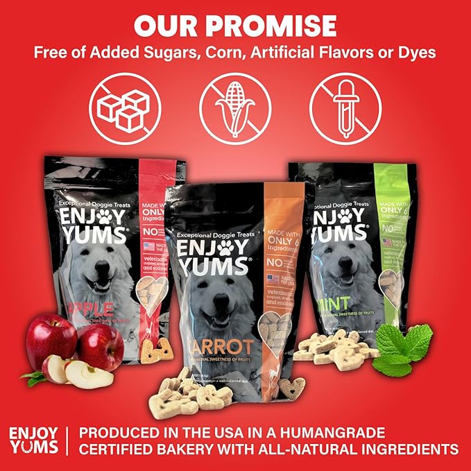 Apple Dog Treats – 1 lb Bag – All-Natural, Low Sugar, Baked Dog Biscuits with Real Apples – Vet-Endorsed – USA Made