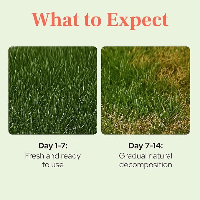 DoggieLawn Natural Grass Mat for Small Pets - Fresh Real Grass Bed - Indoor/Outdoor Lounging Pad for Hamsters, Guinea Pigs & Other Small Animals - Disposable, Natural (Petite)