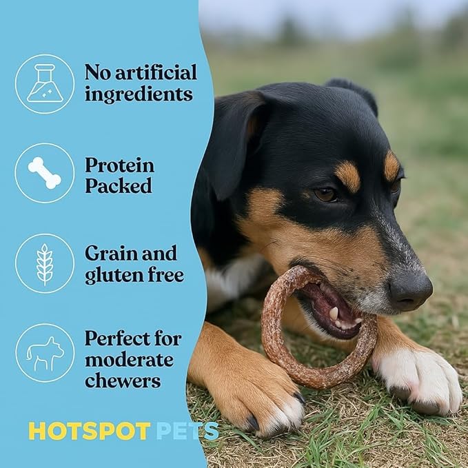 hotspot pets Bully Stick Rings for Dogs (10 Pack) 4 Inch Circles- Premium All Natural Long Lasting Twisted Beef Pizzle Dog Chew Treats - Grain Free, Fully Digestible, Rawhide Alternative Thick Chews