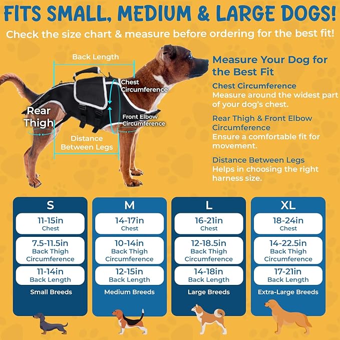 Full Body Dog Lift Harness - Help Small Dogs Up Adjustable Mobility Support Aid for Injured or Senior Dog and Dogs Hind Leg, Black S