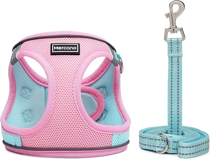 Mercano Soft Mesh Dog Harness and Leash Set, No-Chock Step-in Reflective Breathable Lightweight Easy Walk Vest Harnesses with Safety Buckle for Small Dogs, Cats (S, Pink Blue)