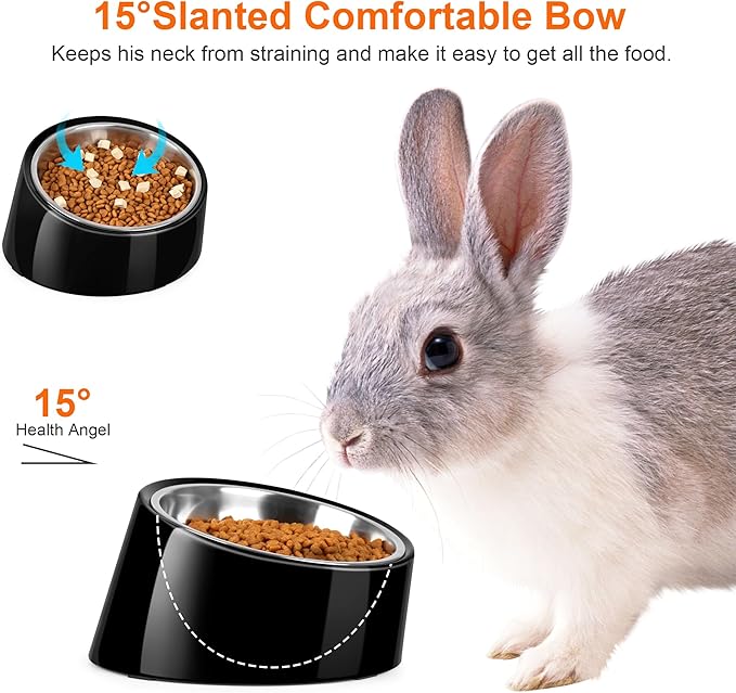 Tilted Dog Bowl Non-Slip & Non-Spill Pet Feeder with Elevated Detachable Melamine Stand, Easy to Get Food Dog Dish, S/100ml Black
