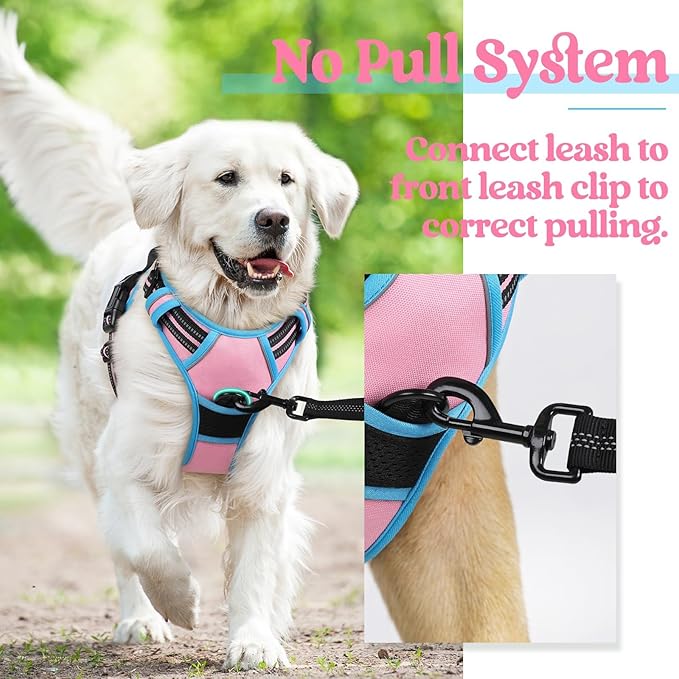 rabbitgoo Dog Harness No Pull with 2 Leash Clips, Adjustable Soft Padded, Reflective Oxford No Choke Pet Vest with Easy Control Handle for Medium Sized Dogs, Pink & Blue, M