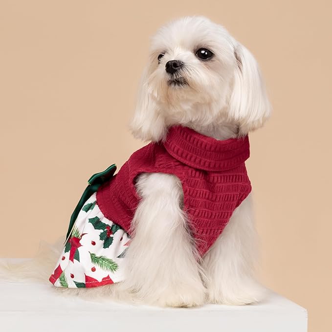 Fitwarm Christmas Poinsettia Flower Dog Turtleneck Dress, Holiday Clothes for Small Dogs Girl, Pet Festive Outfit, Red, White, XX-Small